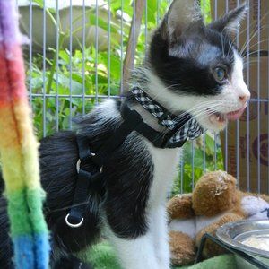 Make me an offer I can lick my chops over!!